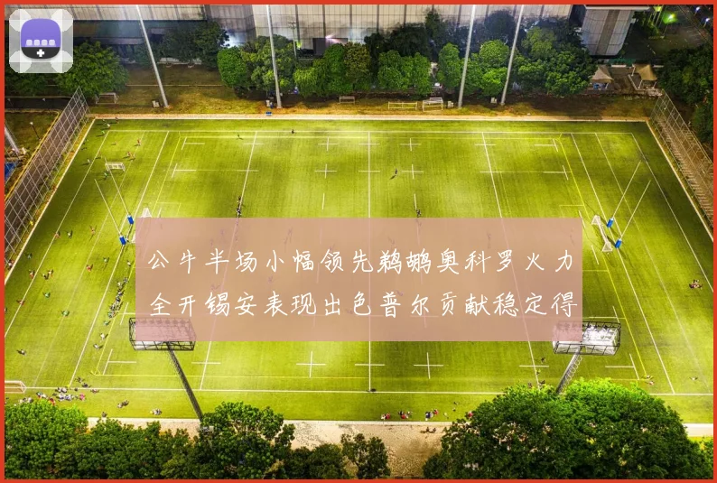 公牛半场小幅领先鹈鹕奥科罗火力全开锡安表现出色普尔贡献稳定得分