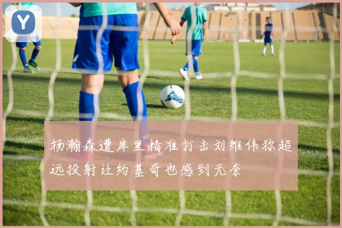 杨瀚森遭库里精准打击刘维伟称超远投射让约基奇也感到无奈