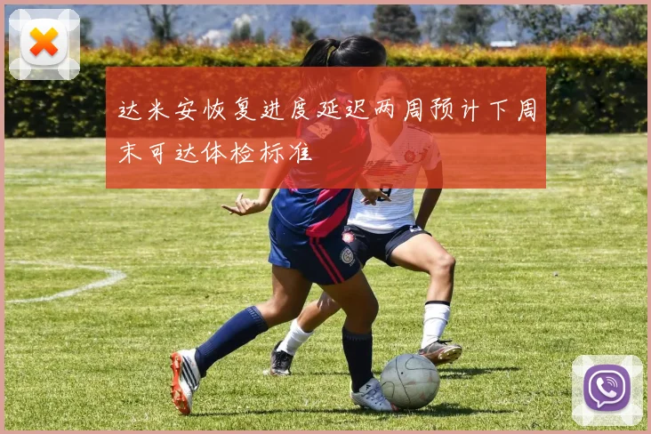 达米安恢复进度延迟两周预计下周末可达体检标准